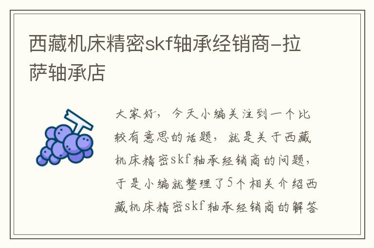 西藏机床精密skf轴承经销商-拉萨轴承店