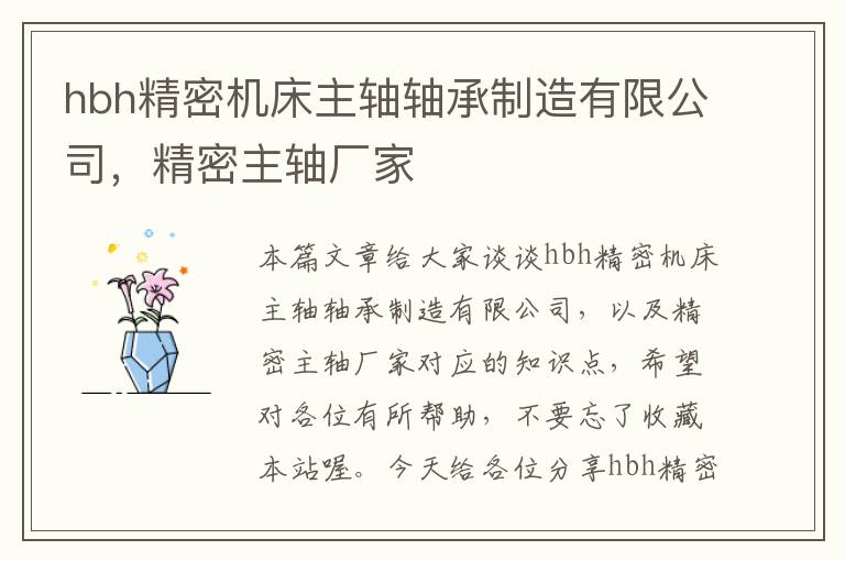 hbh精密机床主轴轴承制造有限公司，精密主轴厂家