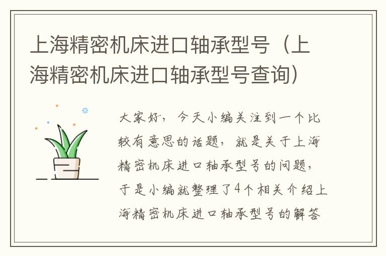 上海精密机床进口轴承型号（上海精密机床进口轴承型号查询）