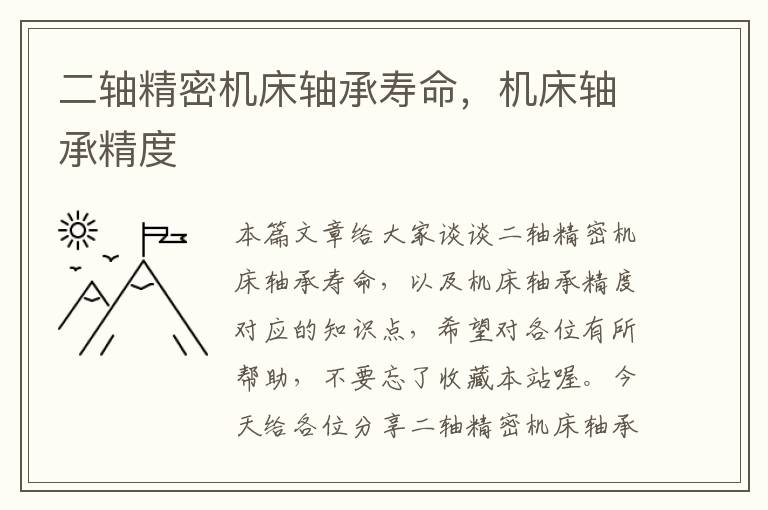 二轴精密机床轴承寿命，机床轴承精度