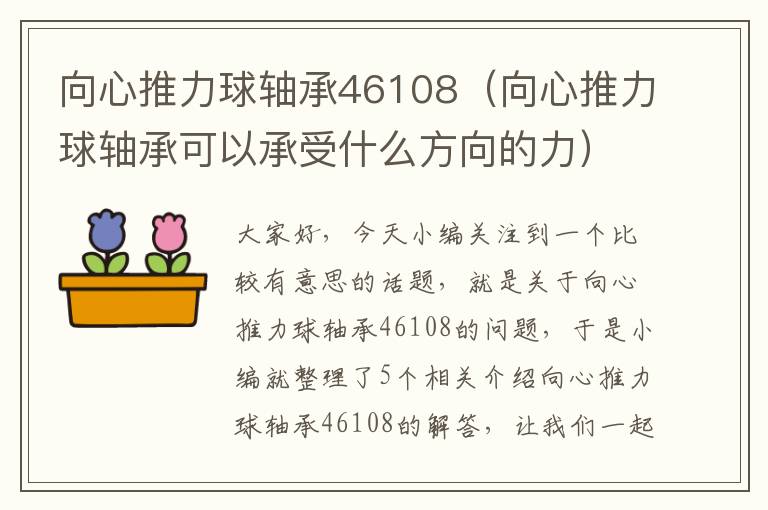 向心推力球轴承46108（向心推力球轴承可以承受什么方向的力）