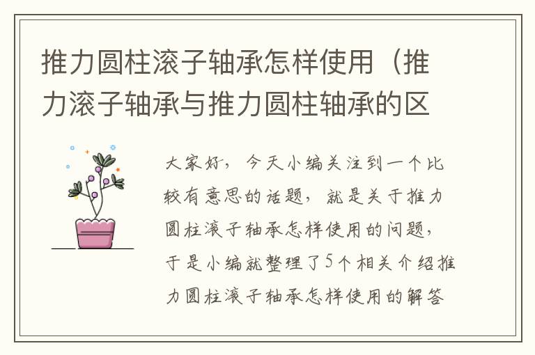 推力圆柱滚子轴承怎样使用（推力滚子轴承与推力圆柱轴承的区别）