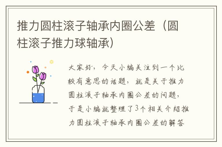 推力圆柱滚子轴承内圈公差（圆柱滚子推力球轴承）