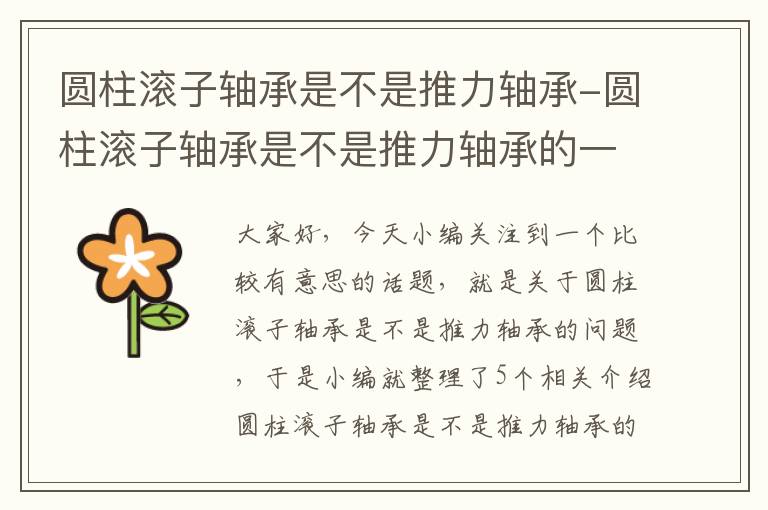 圆柱滚子轴承是不是推力轴承-圆柱滚子轴承是不是推力轴承的一种