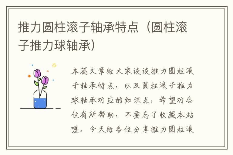 推力圆柱滚子轴承特点（圆柱滚子推力球轴承）