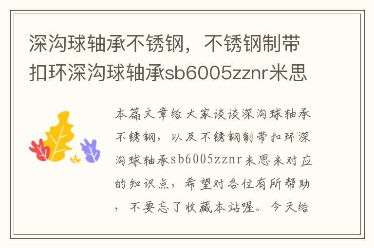 深沟球轴承不锈钢，不锈钢制带扣环深沟球轴承sb6005zznr米思米