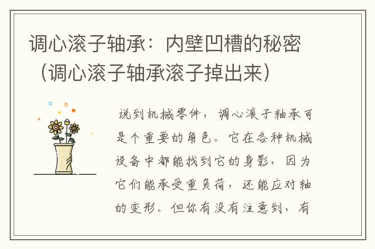 调心滚子轴承：内壁凹槽的秘密（调心滚子轴承滚子掉出来）