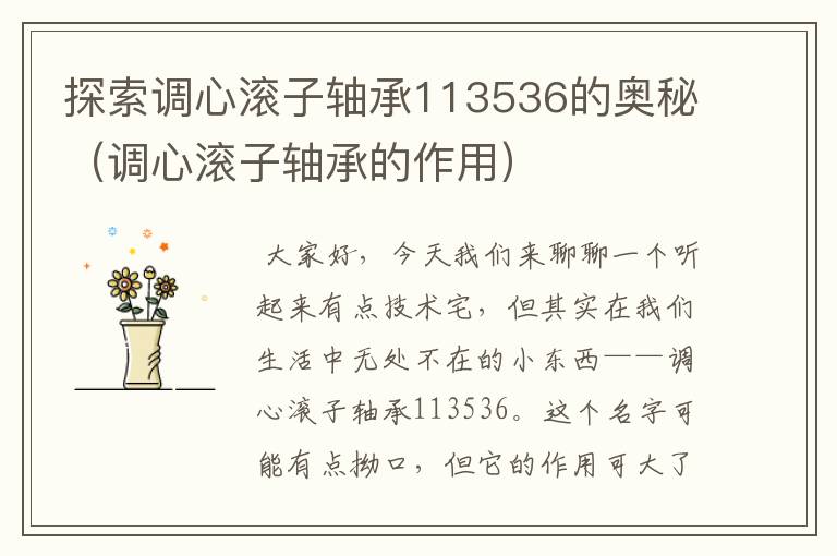 探索调心滚子轴承113536的奥秘（调心滚子轴承的作用）