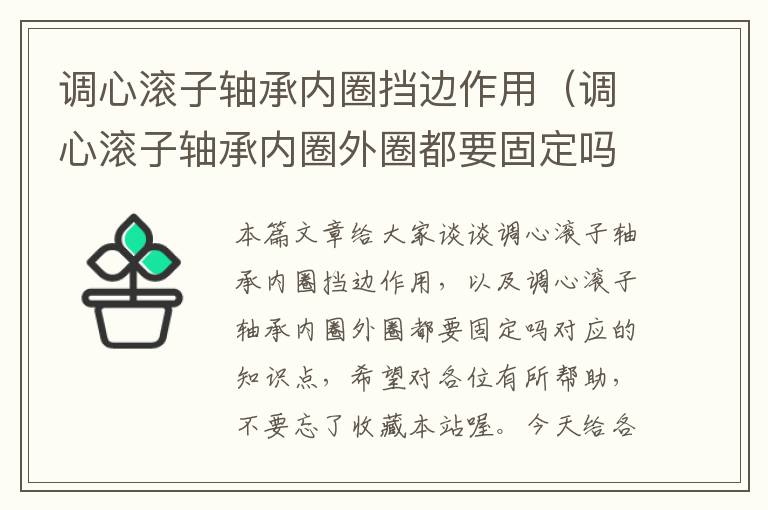 调心滚子轴承内圈挡边作用（调心滚子轴承内圈外圈都要固定吗）