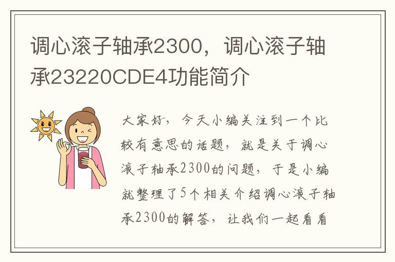 调心滚子轴承2300，调心滚子轴承23220CDE4功能简介