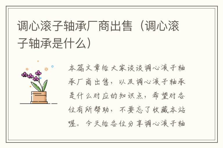 调心滚子轴承厂商出售（调心滚子轴承是什么）