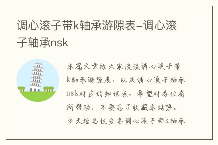 调心滚子带k轴承游隙表-调心滚子轴承nsk