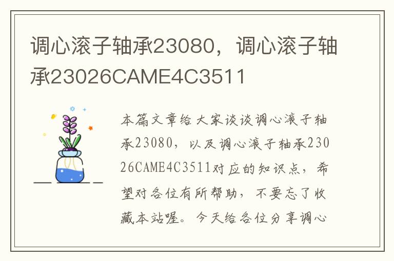 调心滚子轴承23080，调心滚子轴承23026CAME4C3511