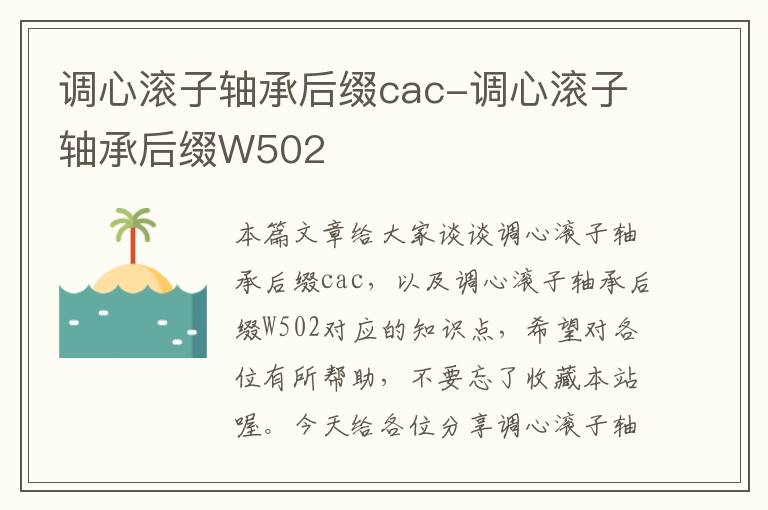 调心滚子轴承后缀cac-调心滚子轴承后缀W502